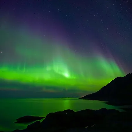 Lofoten By Lodge