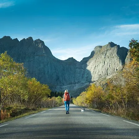 Orman Evi Lofoten By *
